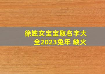 徐姓女宝宝取名字大全2023兔年 缺火